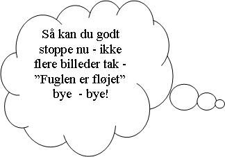 Skyformet billedforklaring: S kan du godt stoppe nu - ikke flere billeder tak - Fuglen er fljet bye  - bye!